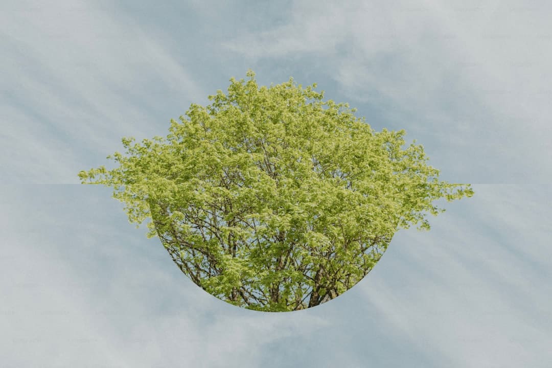 暑期档电影总票房破71亿元 商场热度继续攀升